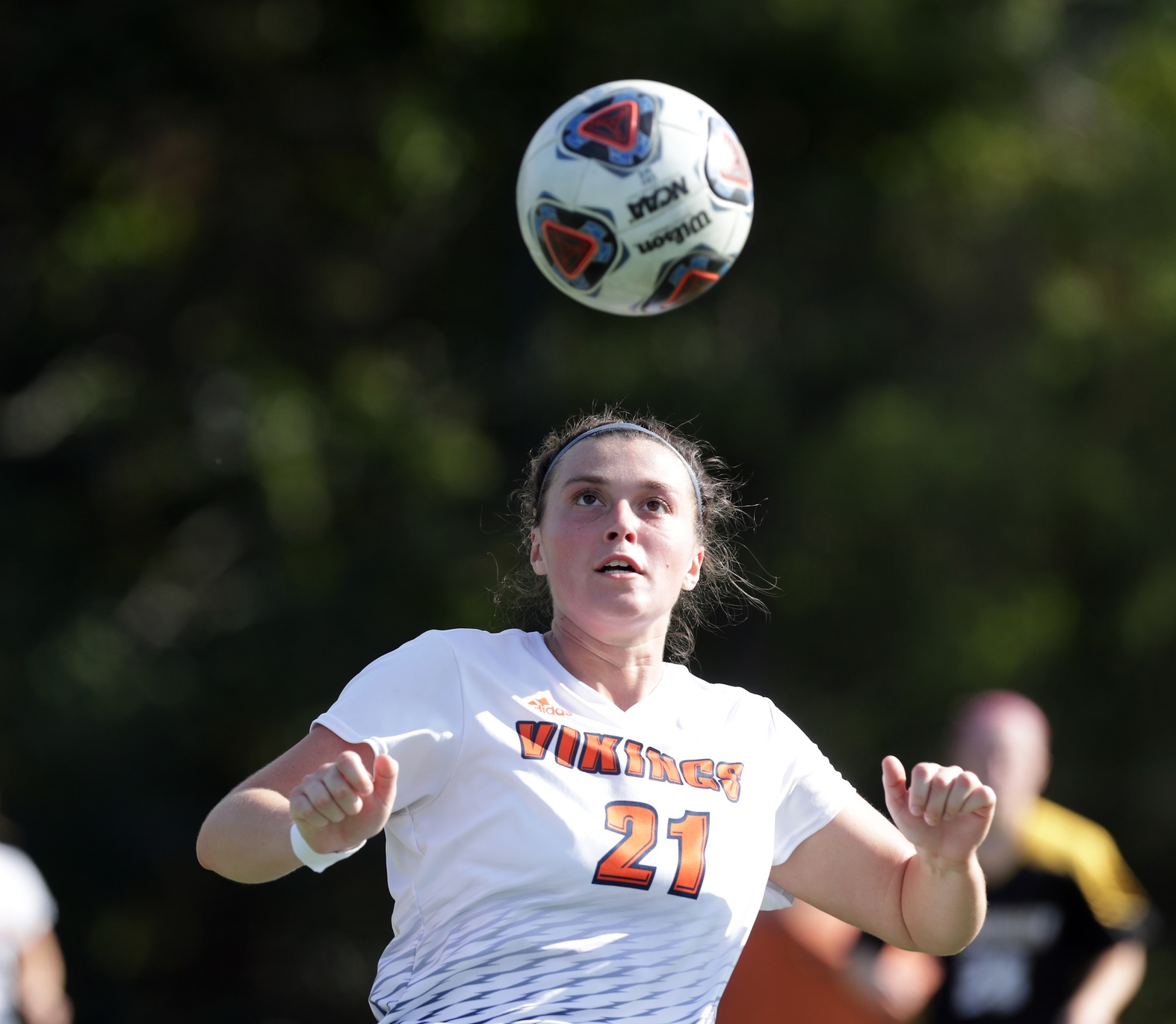 Vikings Advance to MASCAC Championship Game, Defeat Top Seed Worcester State In Penalty Shootout Win